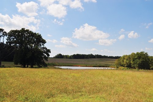 Property photo 11 - 1,575+/- Acres Offered in 23 Tracts